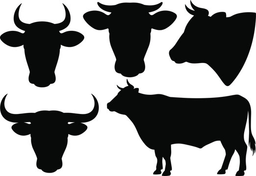 Five cow silhouettes in various poses and angles, including four head profiles with distinct horns and ears, plus one full-body side view, isolated on white background.