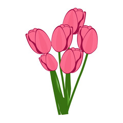 bouquet of pink tulips illustration