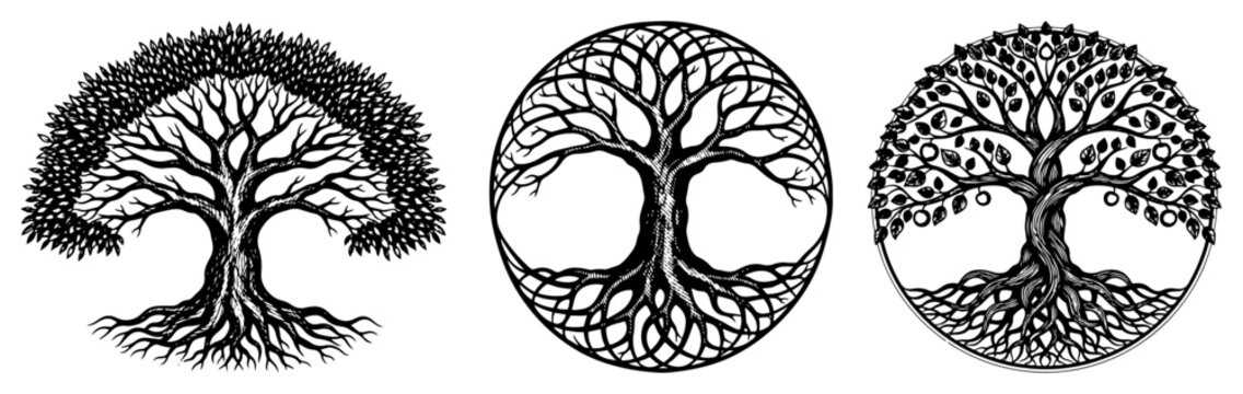 Three variations of tree of life symbols with detailed roots and branches in hand drawn etching style