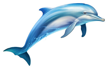 Obraz premium PNG Dolphin animal mammal fish.