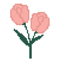 Fototapeta premium Pink tulips flower stems pixel art for Valentine gift graphic