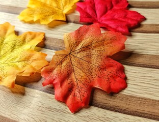 Colorful Autumn Leaves Background Texture