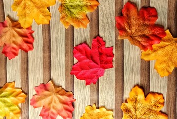 Colorful Autumn Leaves Background Texture