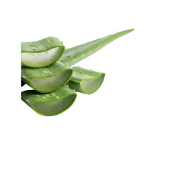Fresh Aloe Vera slices with water drops