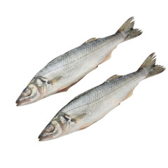 Obraz premium Two frozen fish on a black background