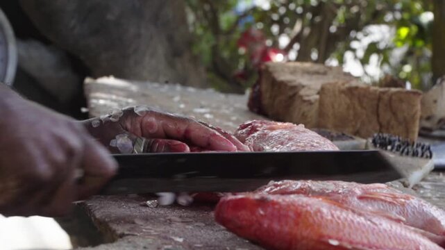 Pescado fresco siendo preparado