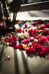 色とりどりの花を浮かべた花手水