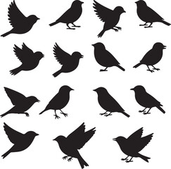 Fototapeta premium Collection of black bird silhouettes in various poses