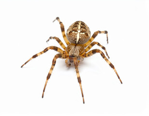 Obraz premium Futuristic Spaceship Flying at Hyper Speed in Deep Space, Warp Engine Starship Science Fiction Background