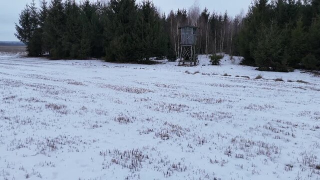 Aerial drone footage of a wooden hunting stand (high seat) surrounded by snow-covered forest in Podlaskie region, northeastern Poland. Winter landscape with evergreen trees and rural wilderness scener