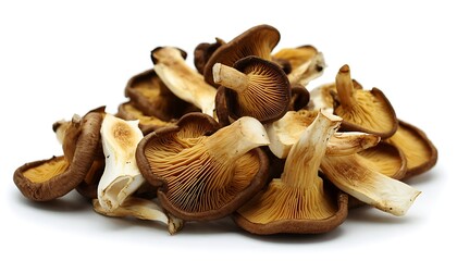 Fresh mushrooms with brown caps and white stems on white background