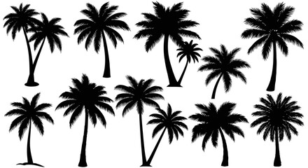 Obraz premium Collection of Diverse Silhouette Palm Trees, Vector Art for Tropical and Beach Themes