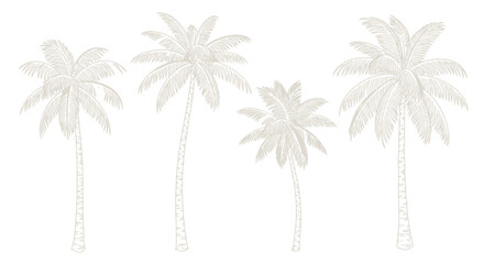 Obraz premium Set of Four Hand-Drawn Palm Trees, Tropical Beach Illustration, Vector Art