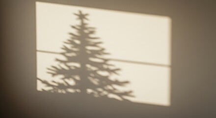 Shadow of a pine tree on a wall with sunlight creating a graphic composition