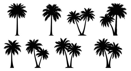 Obraz premium Diverse Collection of Black Palm Tree Silhouettes on White Background, Vector Illustration