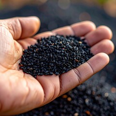 Close Up of a Person's Hand Holding a Pile of Small Black Seeds Outdoors with Blurred Background in Natural Sunlight
