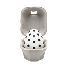 Polka Dot Easter Egg in Cardboard Carton