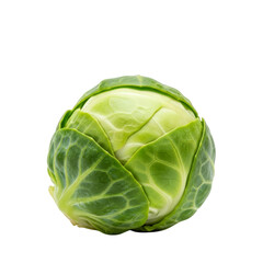 Obraz premium Fresh Brussels sprout On Transparent Background