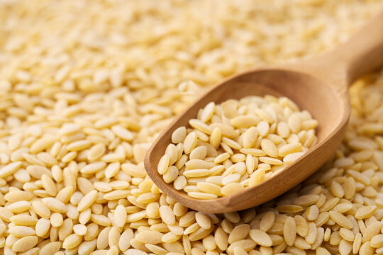 closeup wood scoop on raw risoni or rice shape pasta food rustic background with copy space