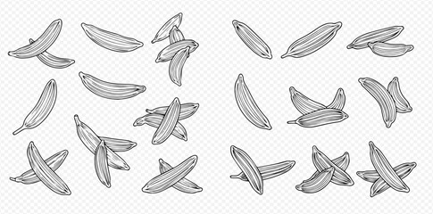 Set of hand-drawn banana illustrations on a transparent background, perfect for healthy food designs. © Akun