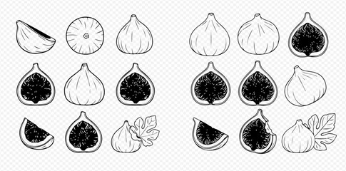 Hand-drawn sketch set of fresh figs, whole and cut, with leaves, in black and white. © Akun