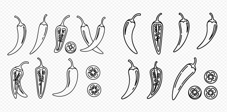 Set of hand-drawn chili pepper illustrations, whole and sliced, showcasing various spicy vegetables.