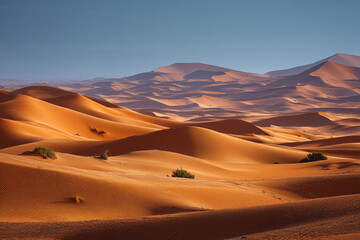 Expansive desert sand dunes stretching towards the horizon with sparse vegetation under a bright blue sky