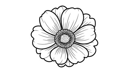 Detailed black and white line art illustration of a single flower with multiple petals and a textured center, isolated on a white background, perfect for botanical designs.