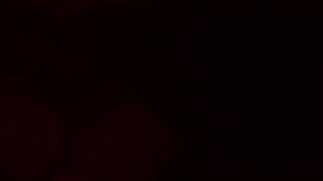 elegan light leaks enhancing visuals