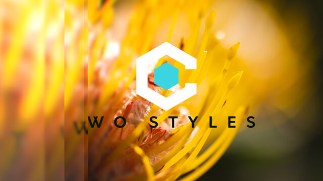 Glass Panel Logo Reveal