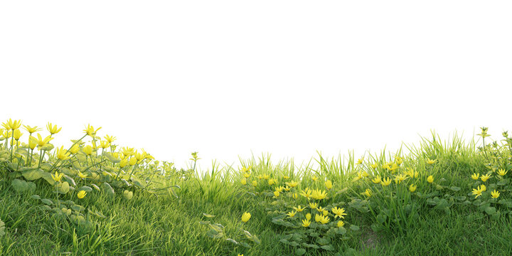 Verdant Hill Blooming with Yellow Flowers in Spring. 3D render.	
