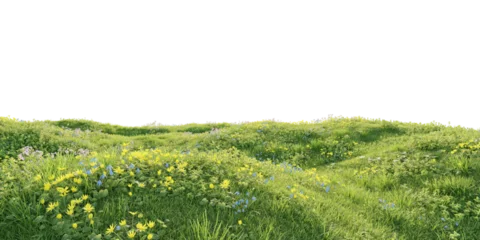 Papier peint photo Herbes des dunes Verdant Hill Blooming with Yellow Flowers in Spring. 3D render.    © snesivan