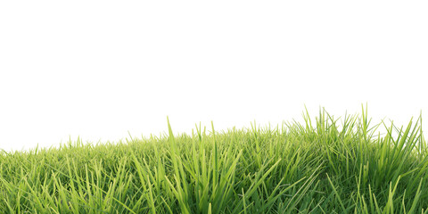 Verdant Hill Blooming with Yellow Flowers in Spring. 3D render.   © snesivan