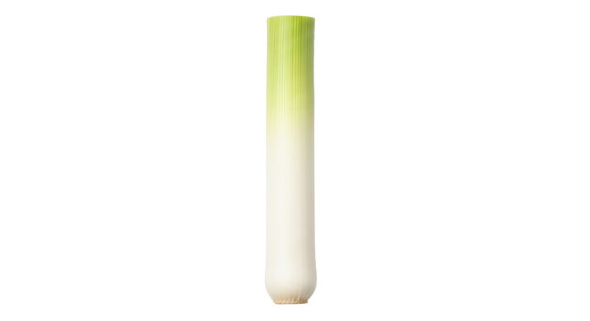 Fresh leek isolated PNG on transparent background, healthy vegetable for cooking and culinary use, ingredient for soups and salads