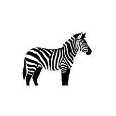 Obraz premium Black and White Zebra Silhouette Standing on White Background