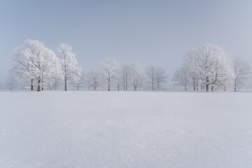 Frost covered tree line across snowy field in winter fog, wide minimalist rural landscape with copy space background