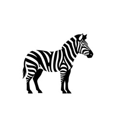 Fototapeta premium Black and White Zebra Standing Side View, African Wildlife Silhouette