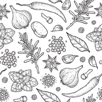 Herbs and spices seamless pattern. Vector drawing illustration. Aromatic plants. Hand drawn food sketch. Vintage illustration. Spice and herbs, black and white design.