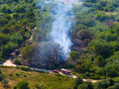 High-angle aerial shot of a critical firefighting operation in a dense forest