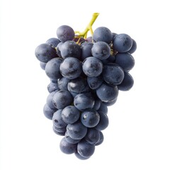Fototapeta premium Fresh Juicy Dark Grapes on a White Background for Healthy Eating and Natural Food Concepts