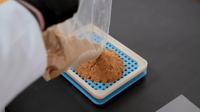 Gloved hands pour plant-based powder onto a capsule filling tray during small batch supplement preparation. Close-up of manual encapsulation process in a clean workspace with precise alignment.