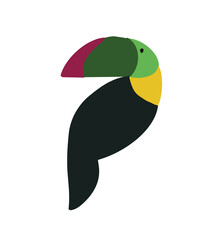 toucan on a white background