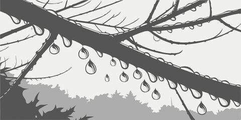 A tree branch with raindrops hanging from its leaves. © Alone