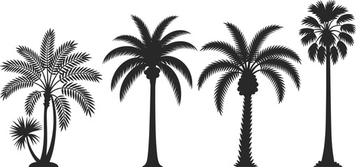 Obraz premium Black Palm Tree Silhouettes Set Featuring Various Tropical Coconut And Date Palms Isolated On White Background For Summer Vacation Beach Resort And Exotic Landscape Design