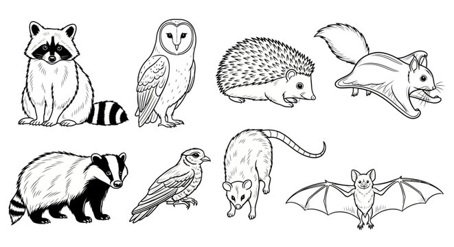 Collection of hand-drawn wild animals in black and white.