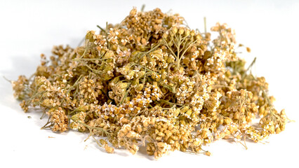 Getrocknete Schafgarbe vor weißem Hintergrund © M. Schuppich