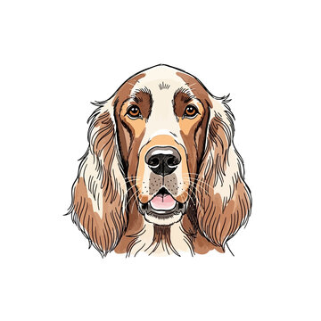 Clumber Spaniel Dog Illustration Portrait.