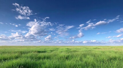 Obraz premium Open Sky Over Field: A breathtaking panorama unfolds as a vast, vibrant green field stretches towards the horizon under a boundless sky dotted with fluffy clouds.