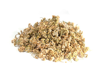 Getrocknete Schafgarbe vor weißem Hintergrund © M. Schuppich