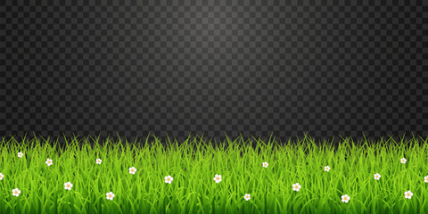 Green Grass Border with White Daisies Transparent PNG – Spring Meadow Vector Overlay © Leonid